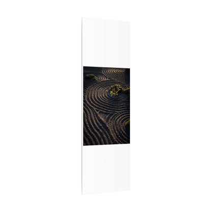 Spring Rock Garden Shadow Zen Canvas Art | Atmospheric Decor