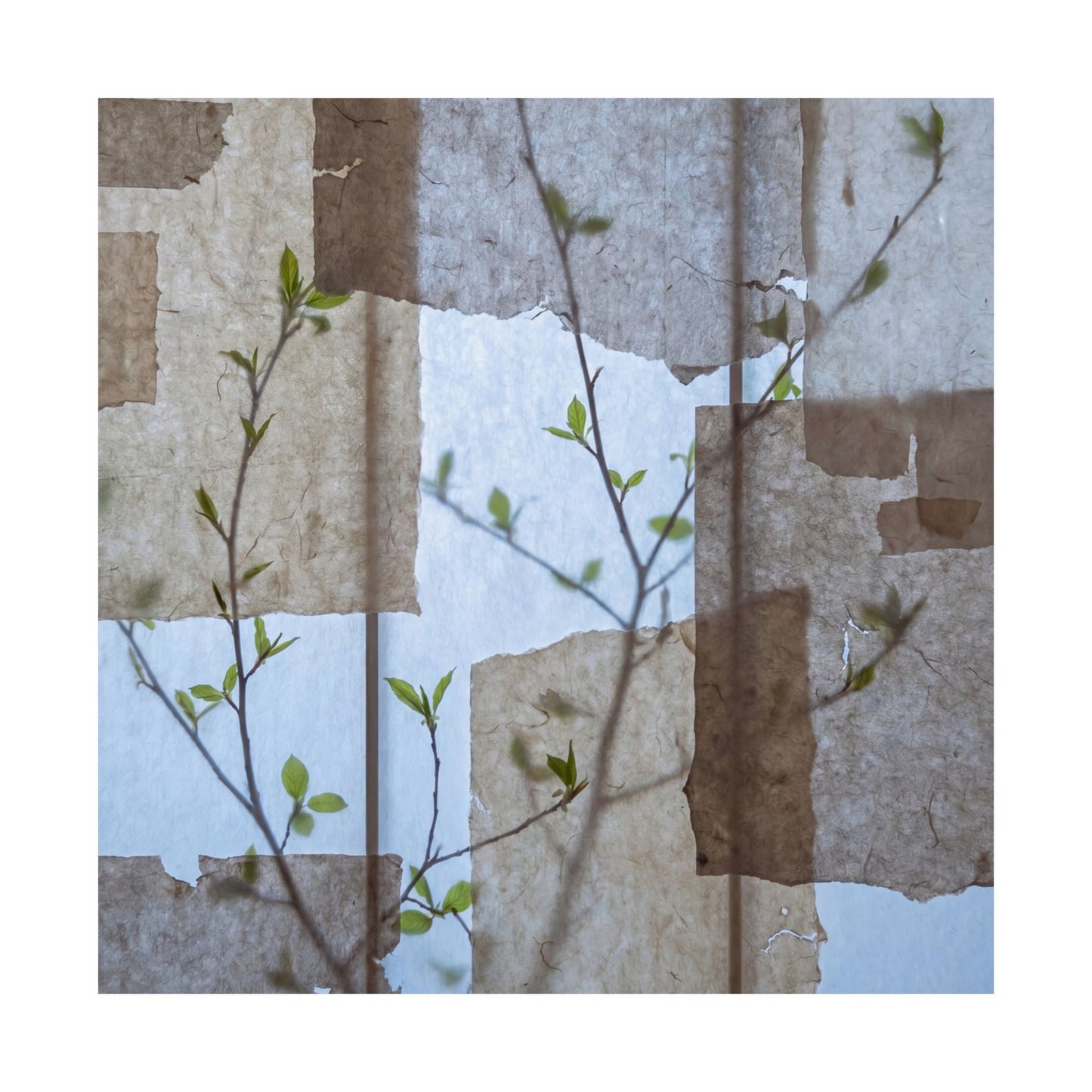 Shoji Screen Spring Wall Art Print | Japandi Earthy Design