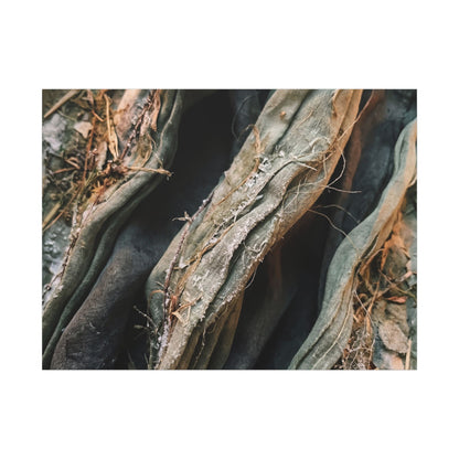 Silk Drape Winter Canvas Art | Japandi Cozy Design