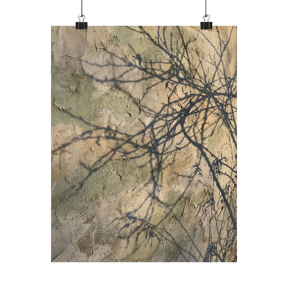 Shadow Play Winter Wall Art Print | Japandi Earthy Design Art Print