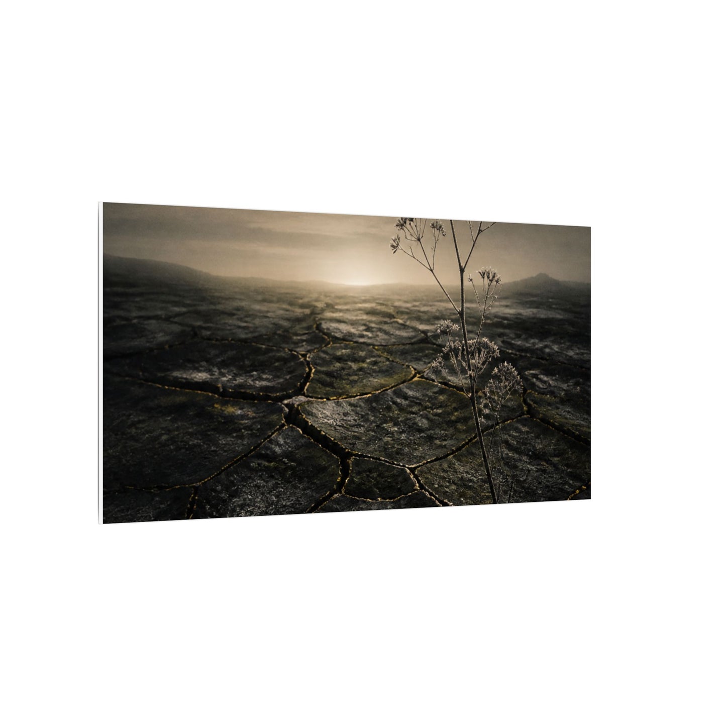 Dawn Cracked Earth Canvas Art - Dark Japandi Mono No Aware