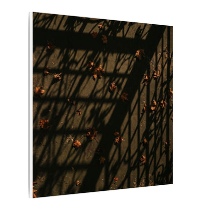 Shadow Play Canvas Art | Autumn Dark Japandi Moody Minimal Art