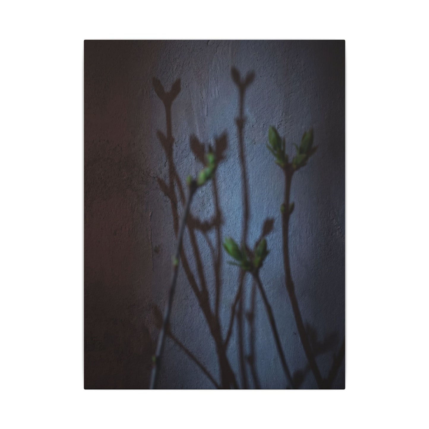 Shadow Play Spring Canvas Art | Dark Japandi Sophisticated Design
