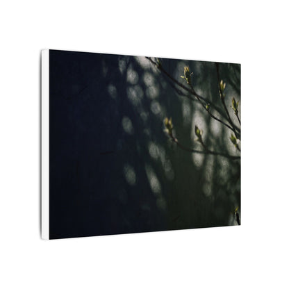 Dark Japandi Shoji Screen in Dappled | Moody Minimal Canvas Art