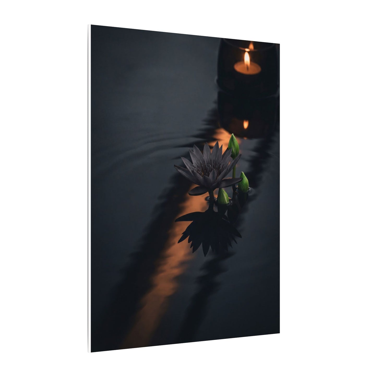 Seijaku Lotus Flower Canvas Art - Dark Japandi Shadow Zen