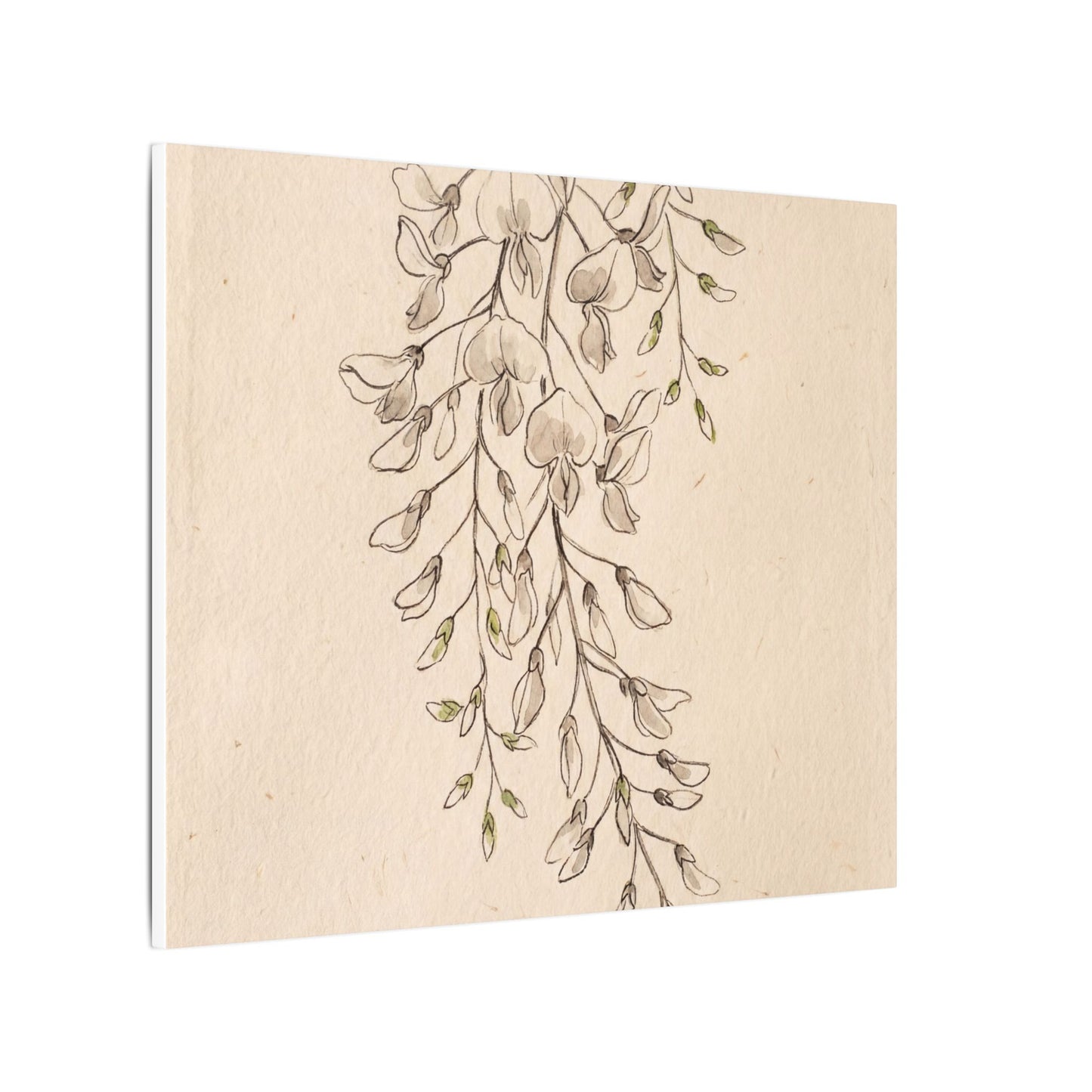 Japandi Wisteria in Golden Hour | Minimal Line Canvas Art