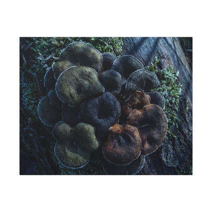 Wild Mushrooms Moody Minimal Canvas Art | Moody Dark Japandi Art Art Print