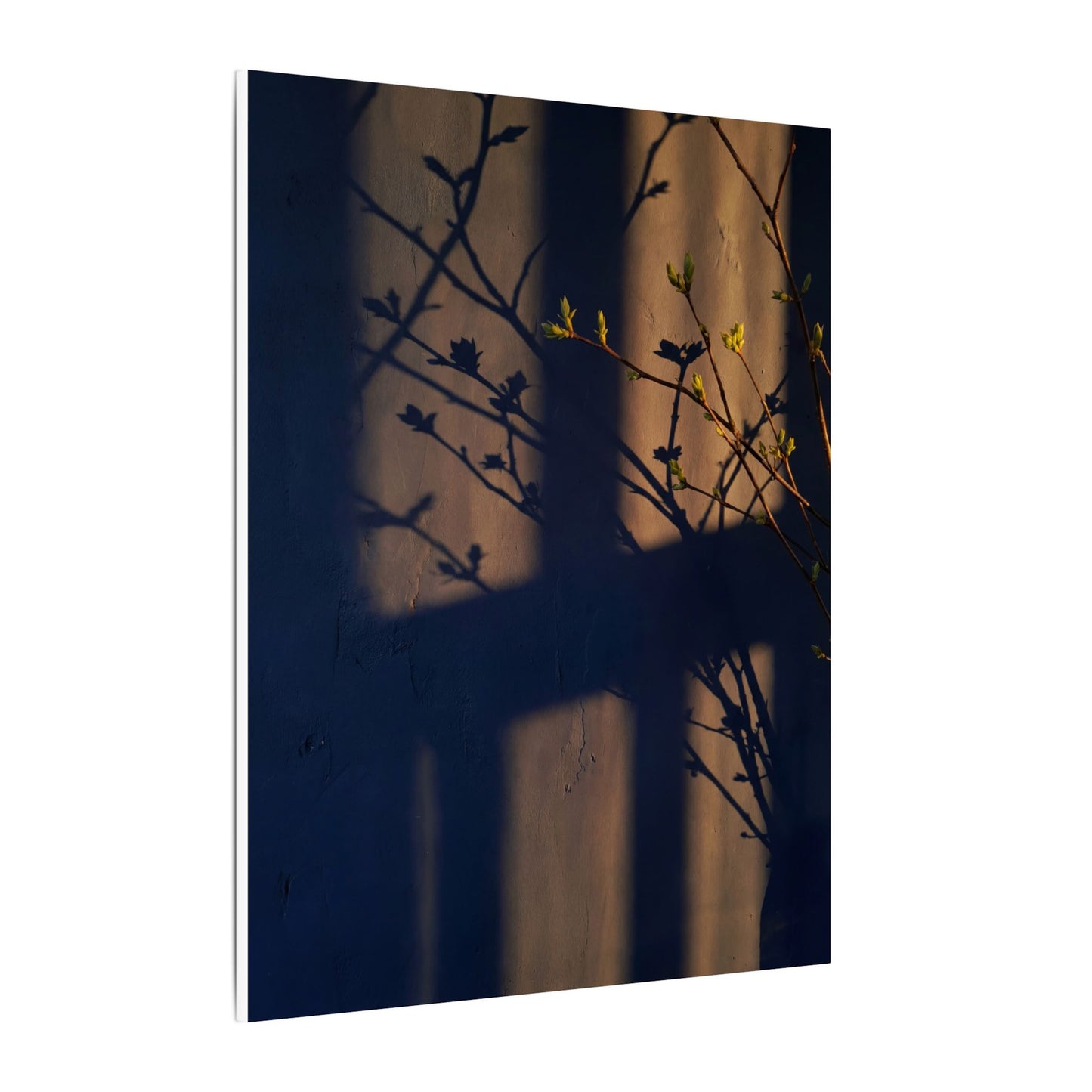 Shadow Play Canvas Art | Spring Dark Japandi Shadow Zen Art