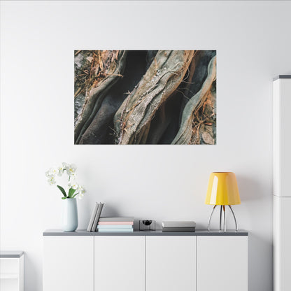 Silk Drape Winter Canvas Art | Japandi Cozy Design