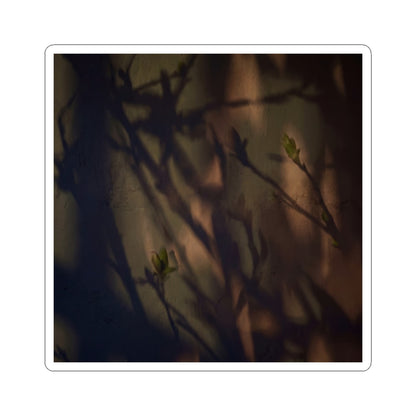 Shadow Play Sticker | Spring Dark Japandi Moody Minimal Art