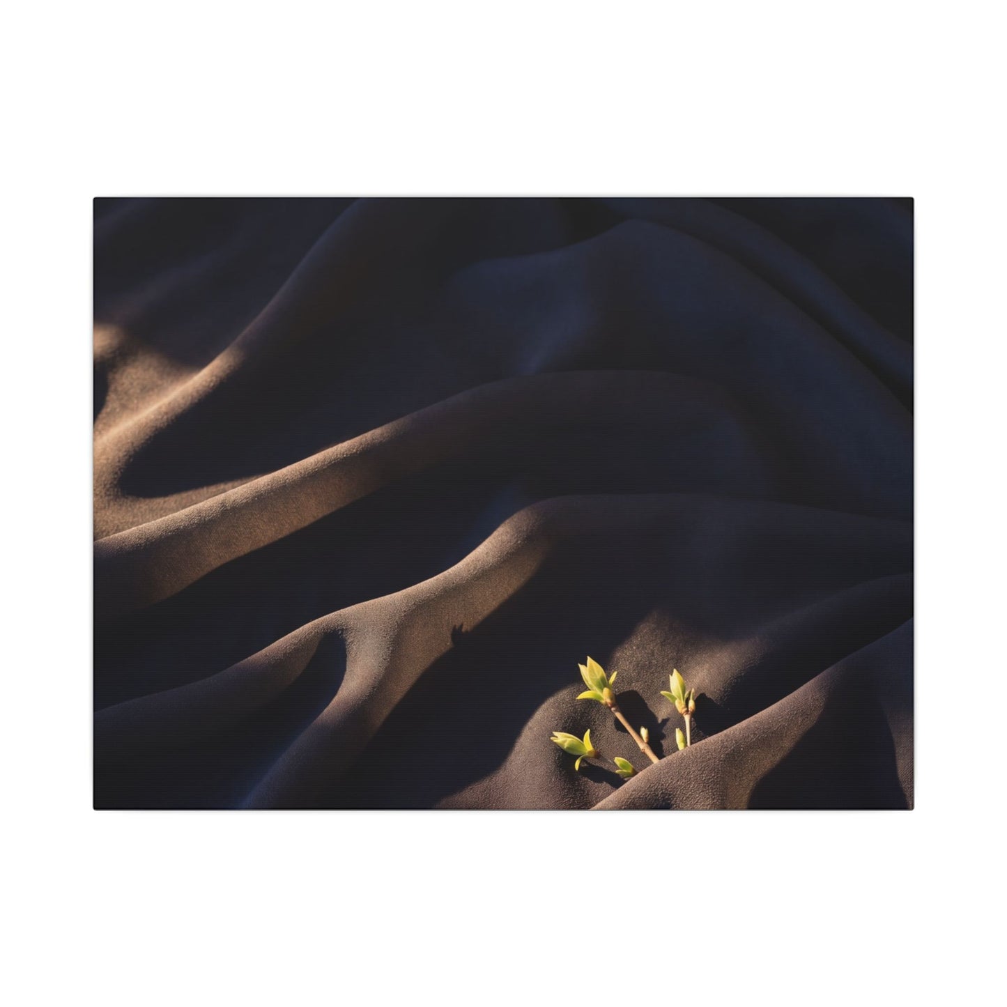 Silk Drape Shadow Zen Canvas Art | Luxurious Dark Japandi Art Art Print
