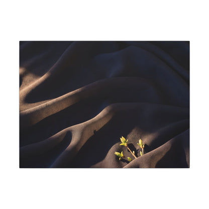 Silk Drape Shadow Zen Canvas Art | Luxurious Dark Japandi Art Art Print