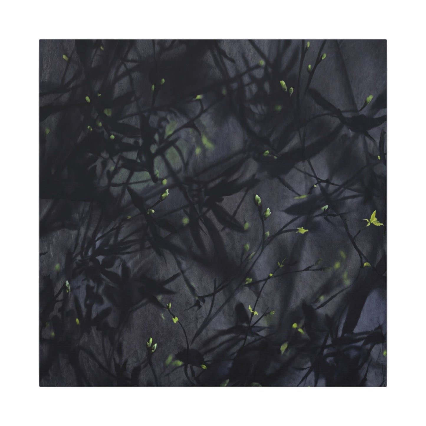 Shadow Play Spring Canvas Art | Dark Japandi Atmospheric Design