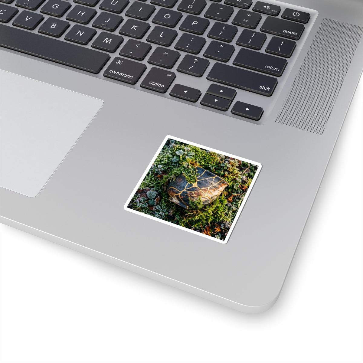 Moss Close Up Sticker | Winter Kintsugi Gold Repair Art