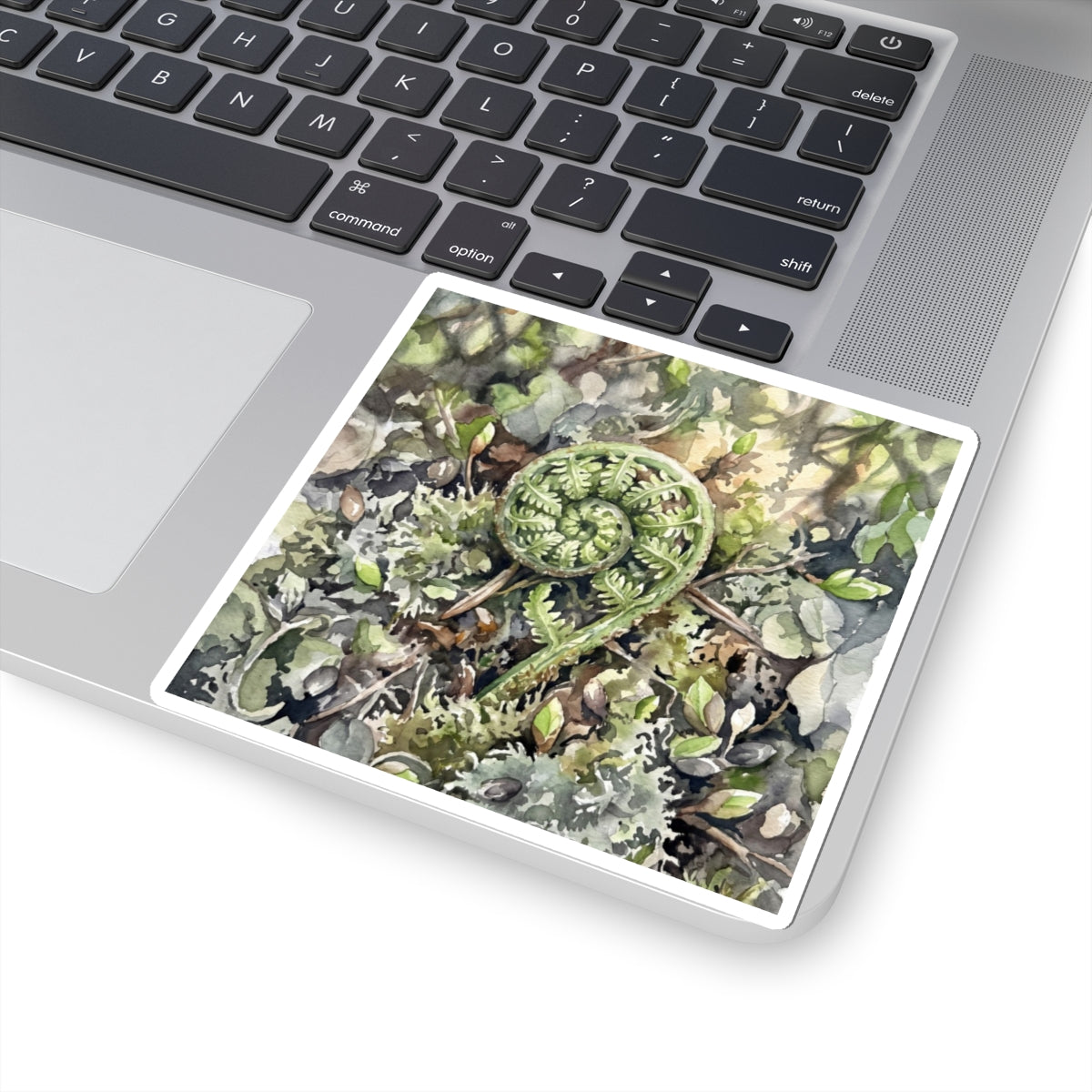 Japandi Fern Unfurling in Dappled | Watercolor Sticker