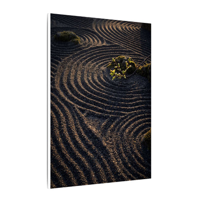 Spring Rock Garden Shadow Zen Canvas Art | Atmospheric Decor