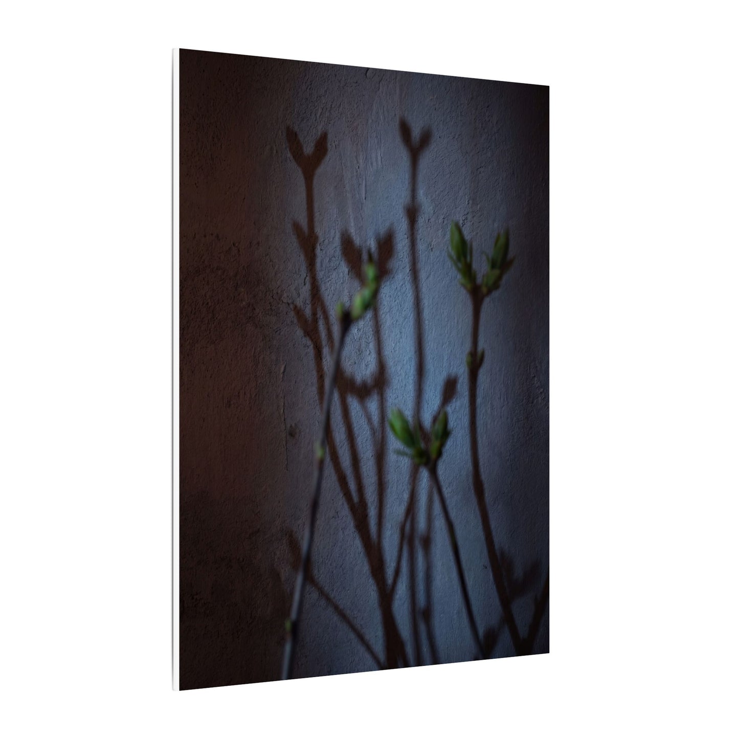 Shadow Play Spring Canvas Art | Dark Japandi Sophisticated Design