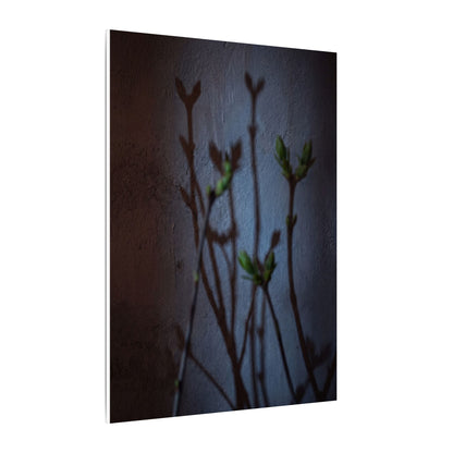 Shadow Play Spring Canvas Art | Dark Japandi Sophisticated Design