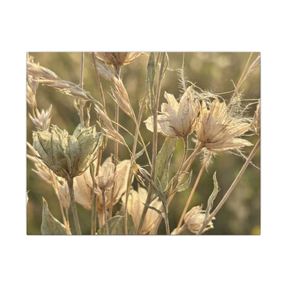 Summer Dried Flowers Minimal Line Canvas Art | Cozy Decor Art Print