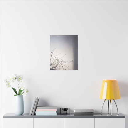Japandi Shadow Play in Dawn | Japanese Pattern Canvas Art
