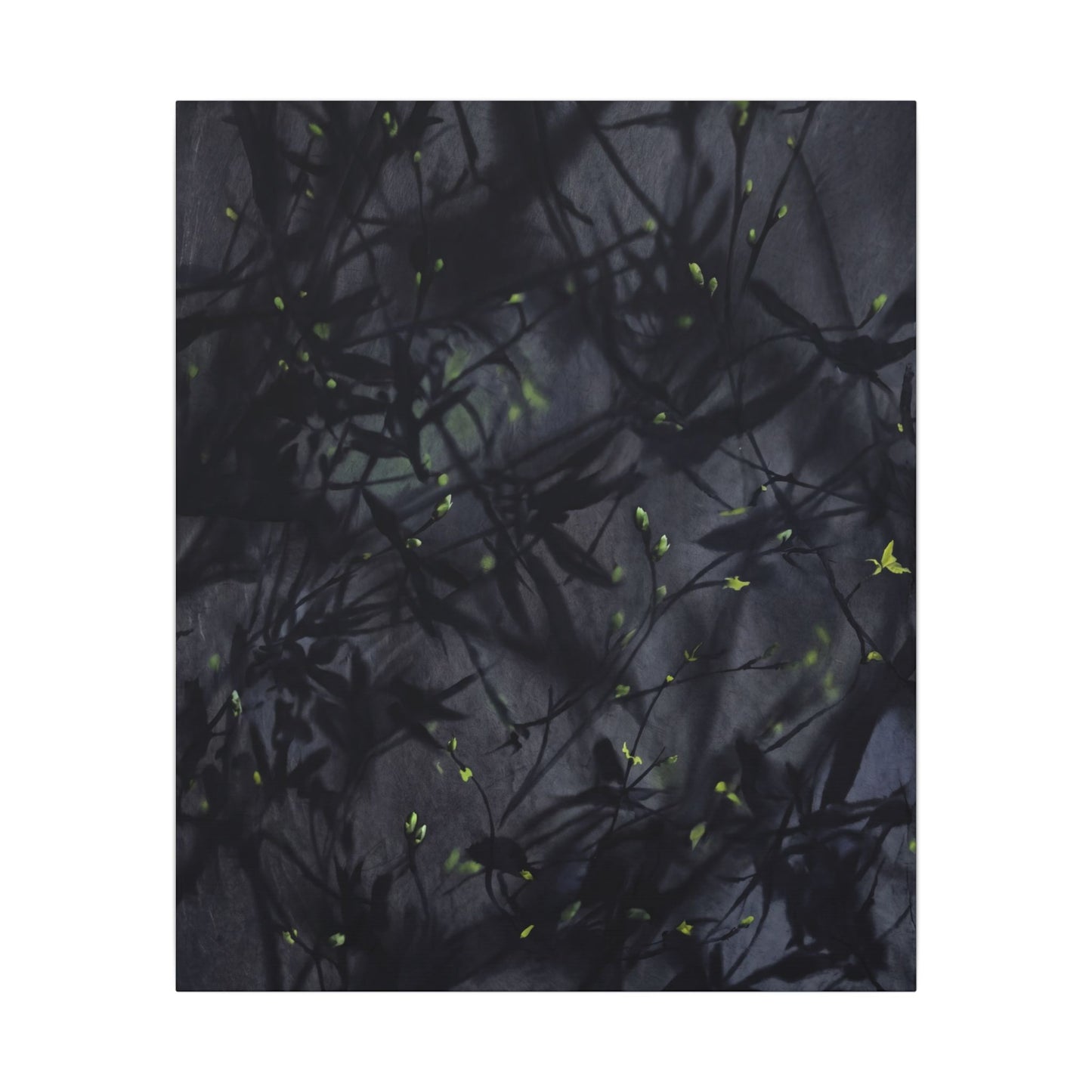 Shadow Play Spring Canvas Art | Dark Japandi Atmospheric Design