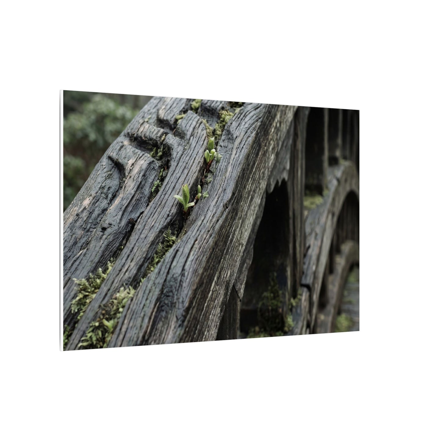 Overcast Wooden Bridge Canvas Art - Japandi Kanso