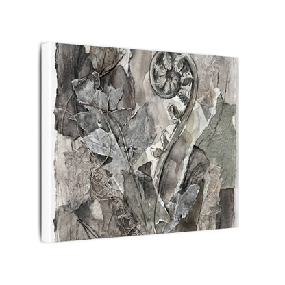 Japandi Fern Unfurling in Overcast | Texture Canvas Art