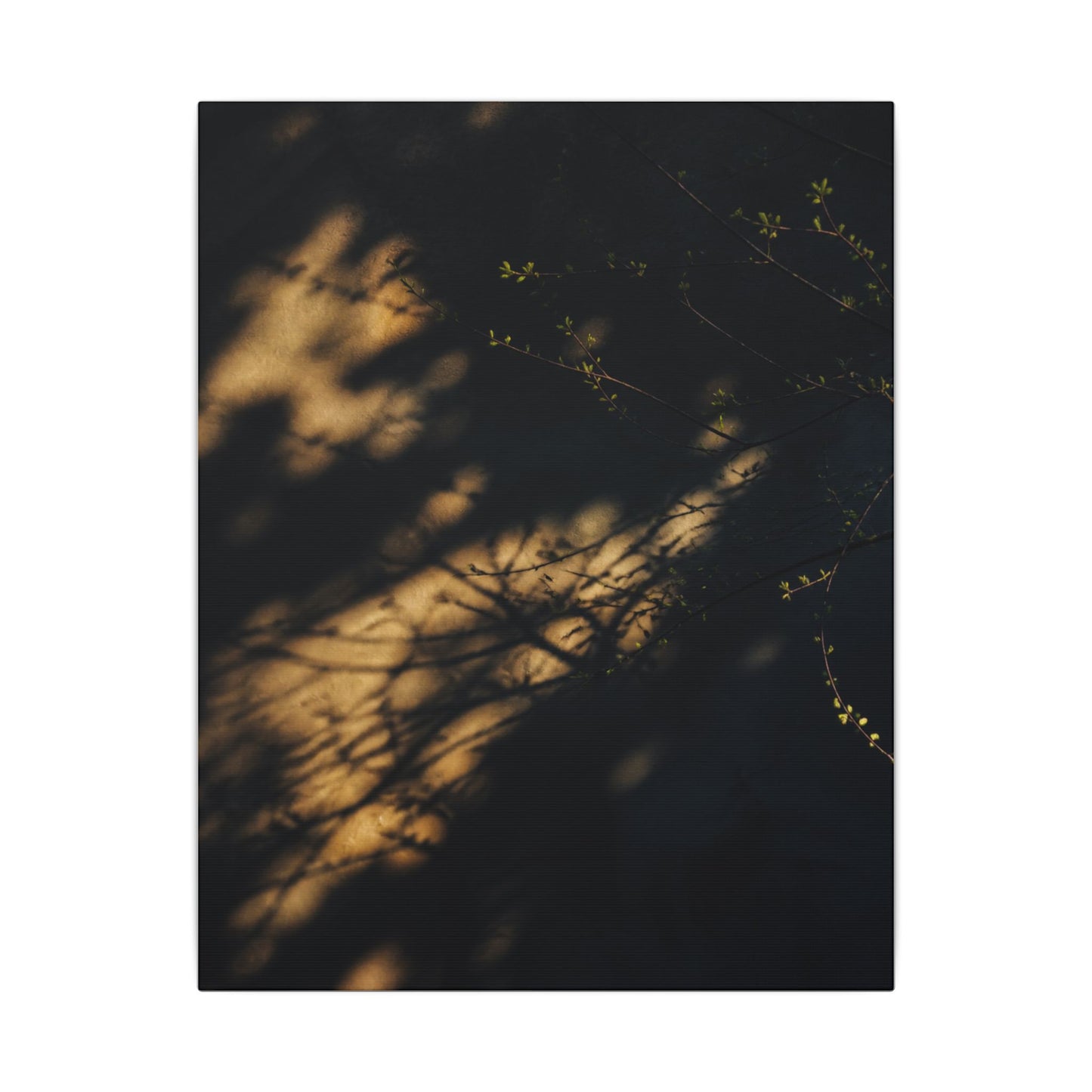 Moody Shadow Play Canvas Art - Moody Minimal Dark Japandi