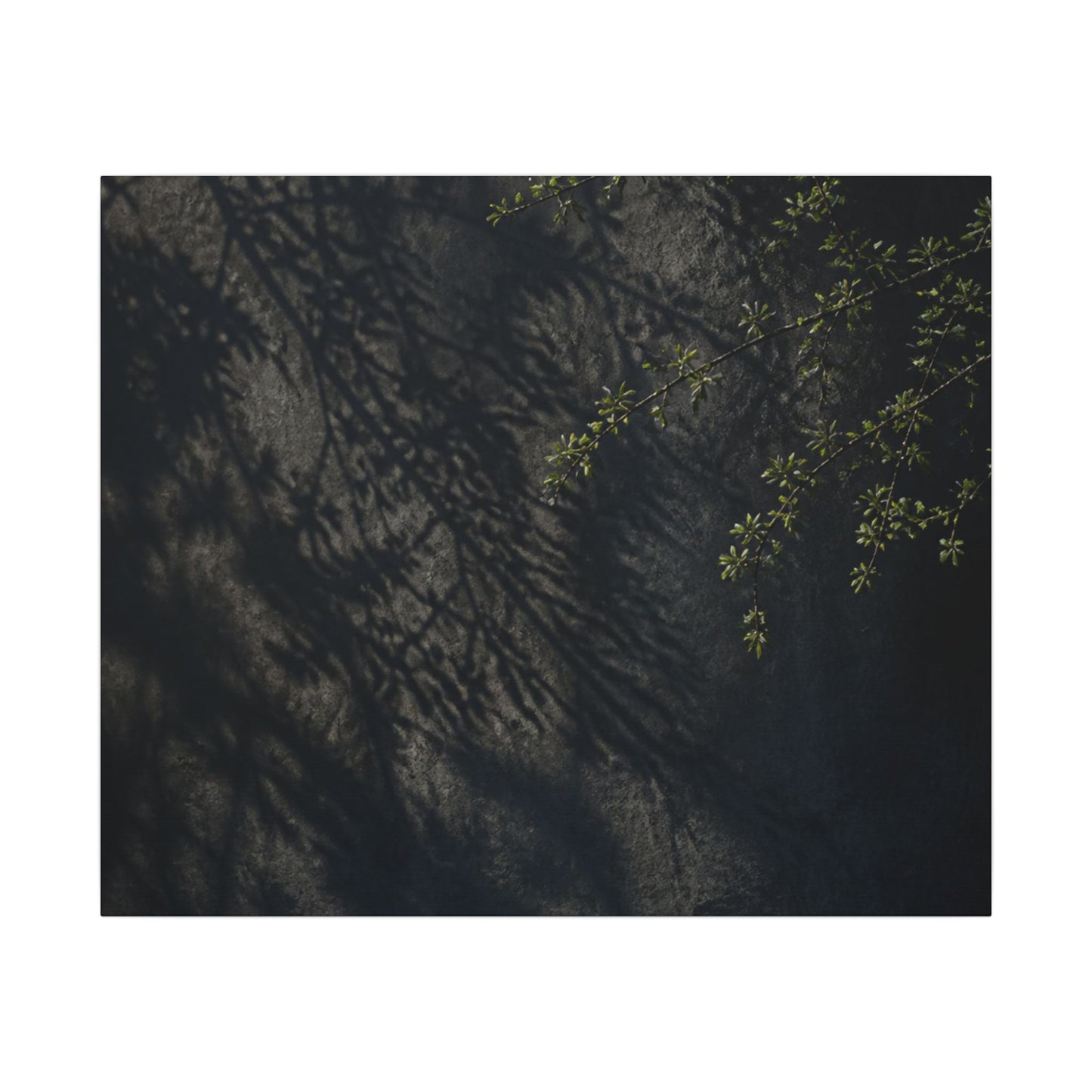 Overcast Shadow Play Canvas Art - Dark Japandi Seijaku
