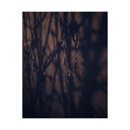Golden Hour Shadow Play Wall Art Print - Dark Japandi Mono No Aware