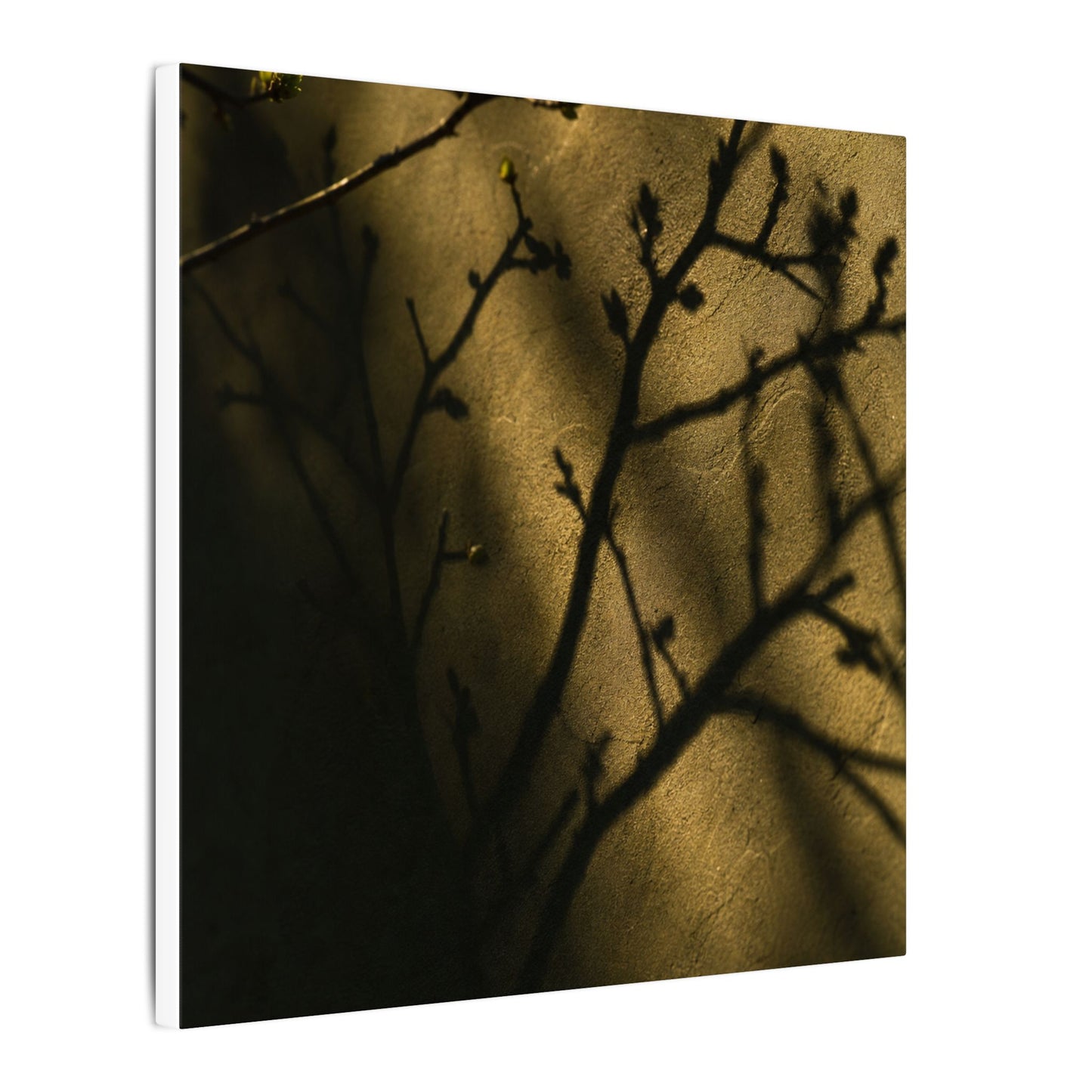 Golden Hour Shadow Play Canvas Art - Dark Japandi Seijaku