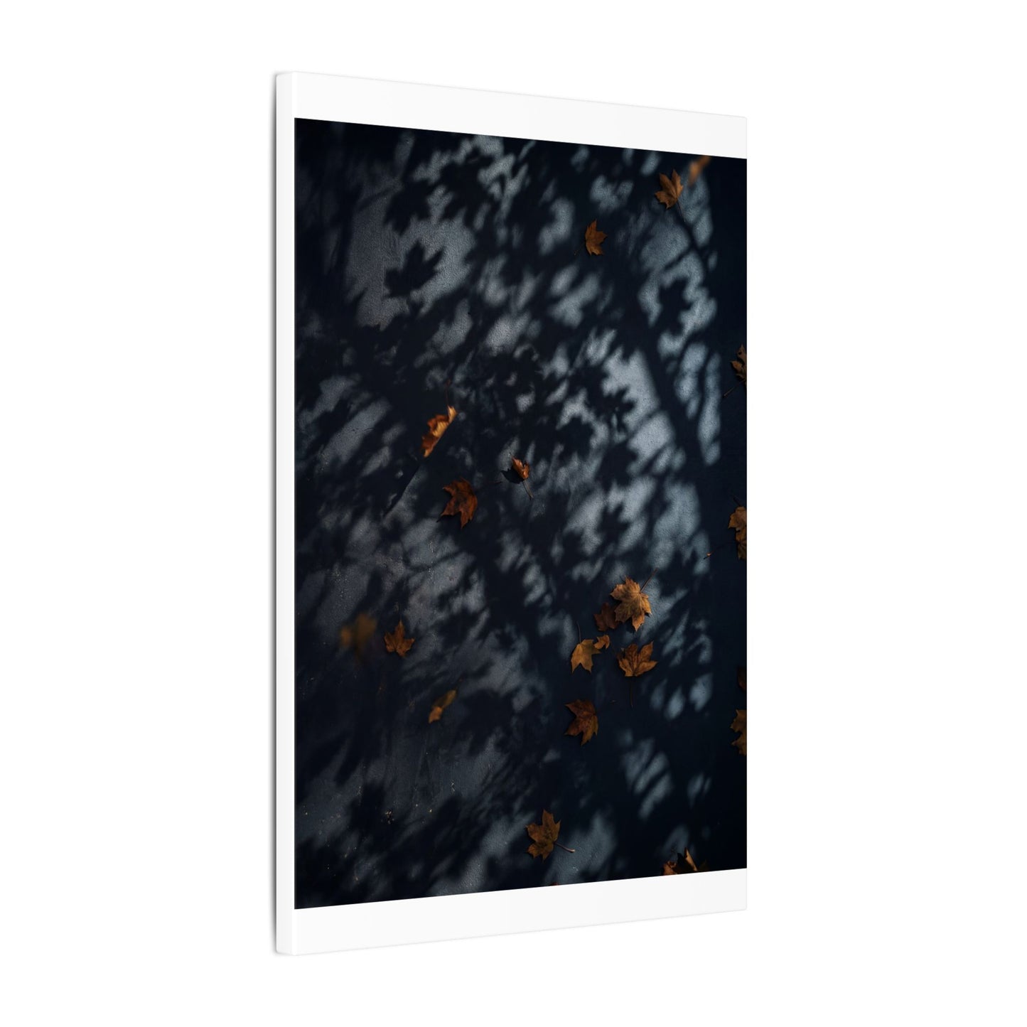Autumn Shadow Play Shadow Zen Canvas Art | Atmospheric Decor