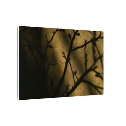Golden Hour Shadow Play Canvas Art - Dark Japandi Seijaku