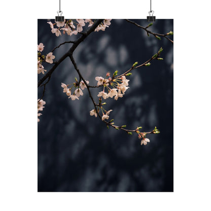 Dappled Cherry Blossom Wall Art Print - Dark Japandi Ma