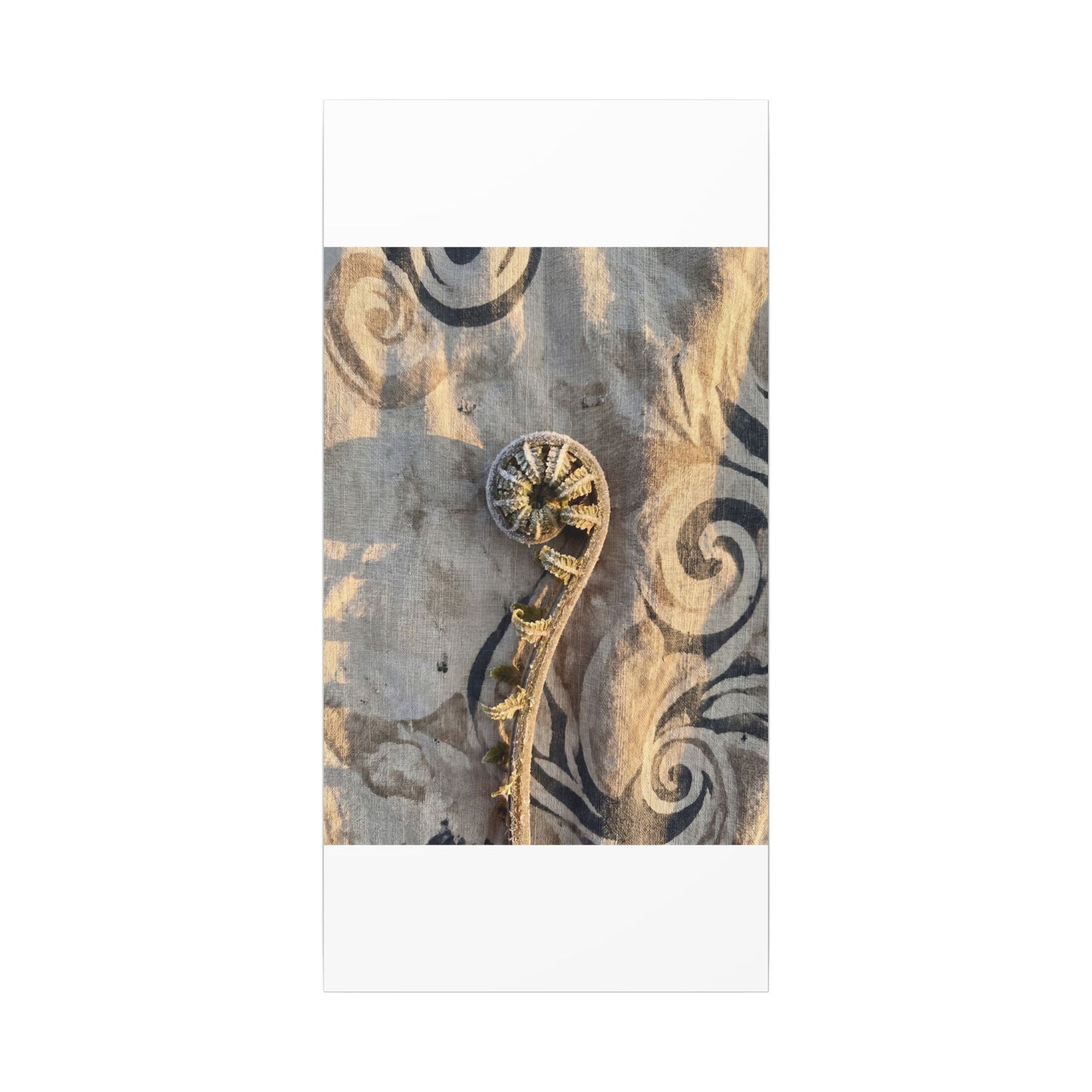 Fern Unfurling Canvas Art | Winter Japandi Japanese Pattern Art