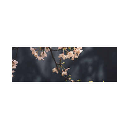 Cherry Blossom Moody Minimal Canvas Art | Bold Dark Japandi Art