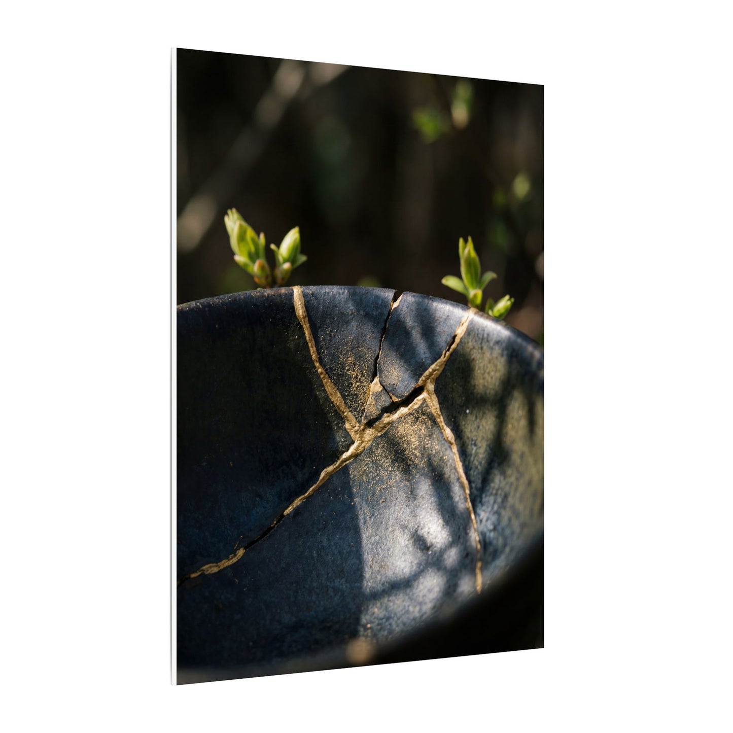Seijaku Broken Pottery Canvas Art - Dark Japandi Shadow Zen
