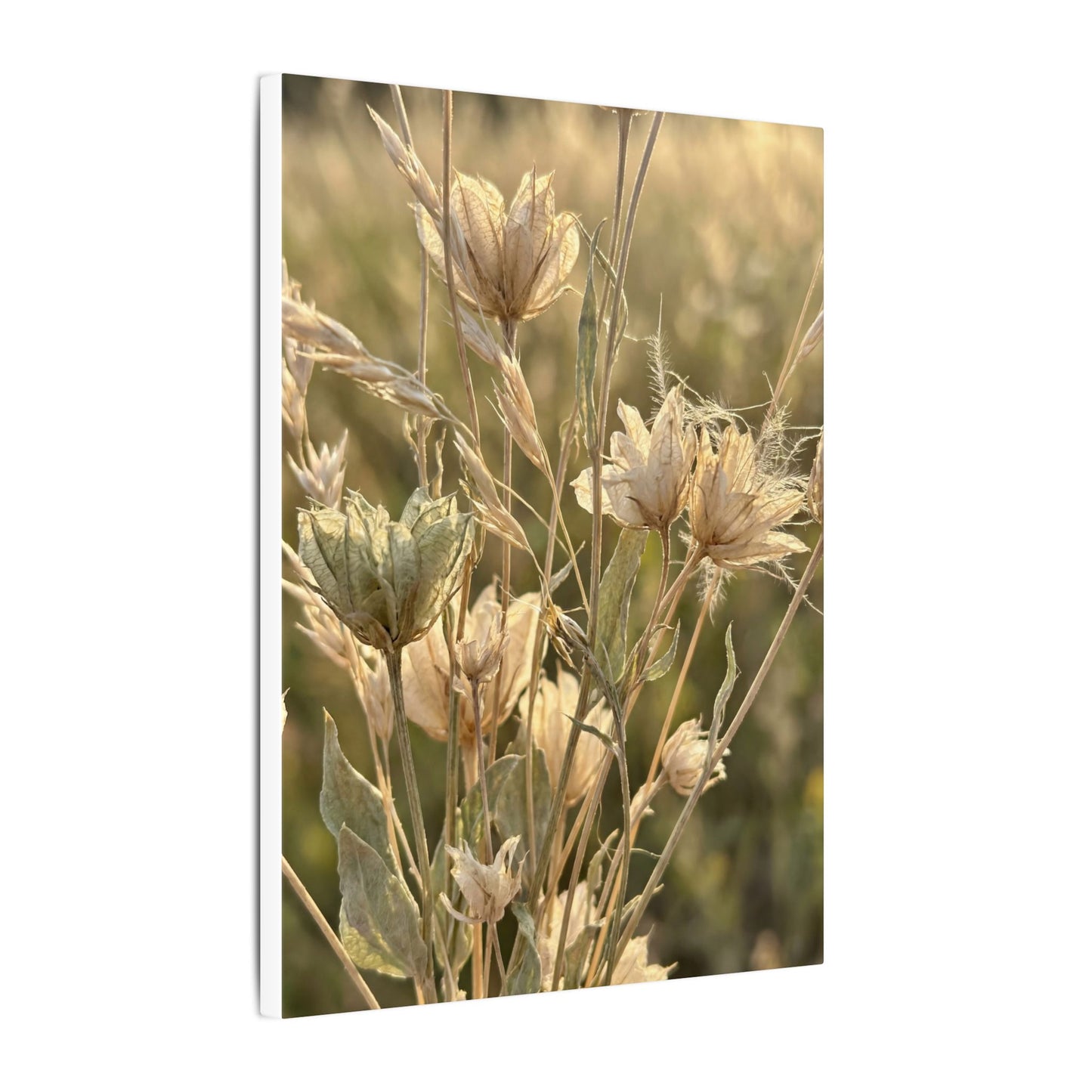 Summer Dried Flowers Minimal Line Canvas Art | Cozy Decor