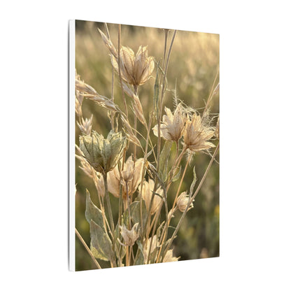 Summer Dried Flowers Minimal Line Canvas Art | Cozy Decor