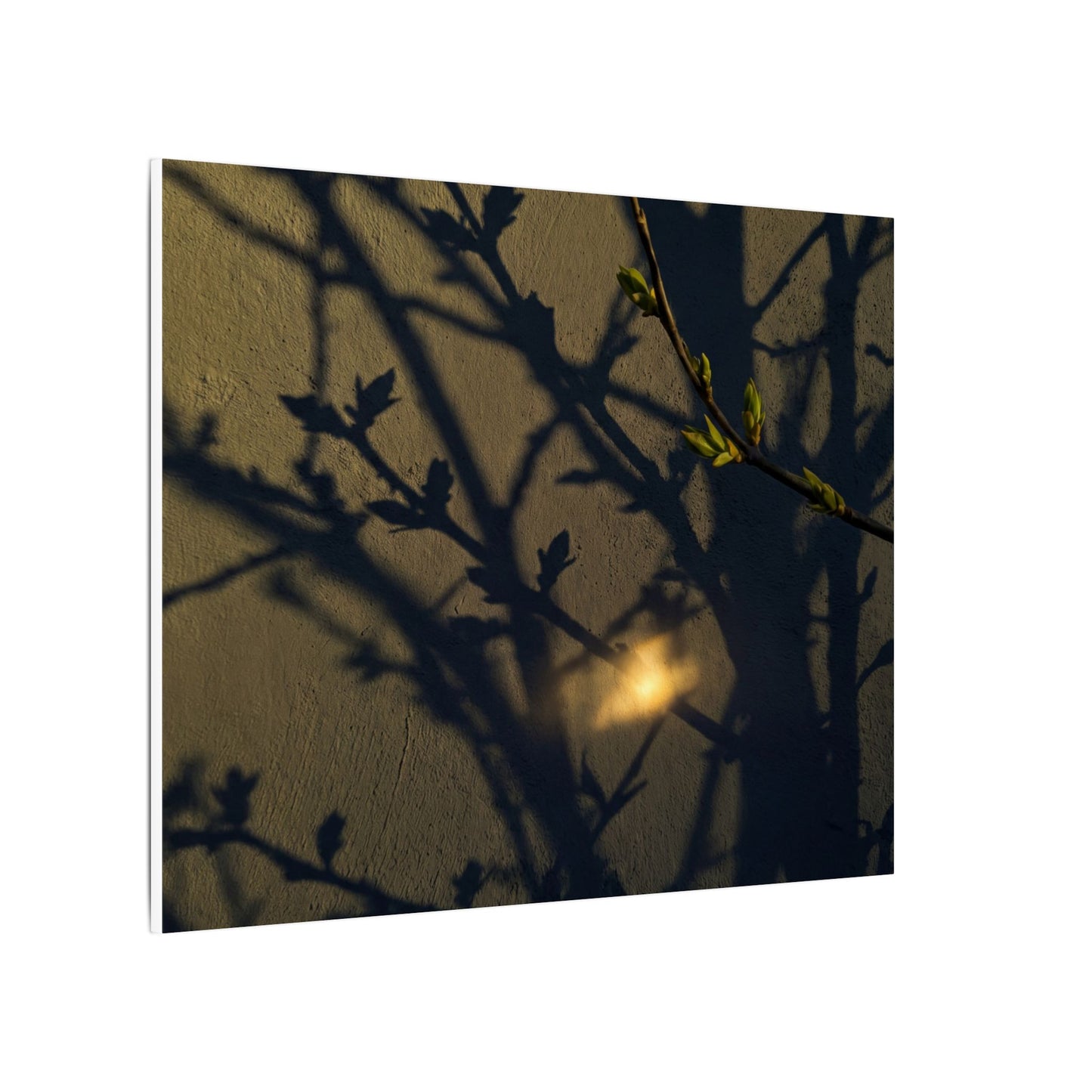 Bold Shadow Play Canvas Art - Moody Minimal Dark Japandi