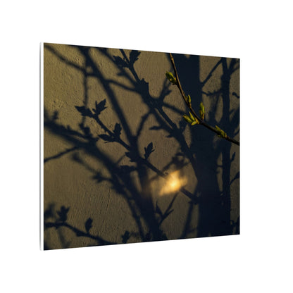 Bold Shadow Play Canvas Art - Moody Minimal Dark Japandi