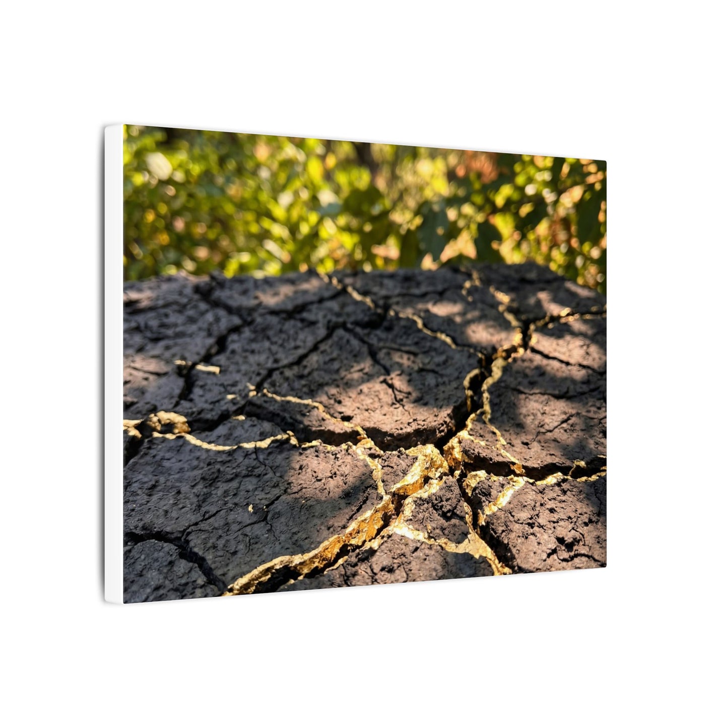 Shibui Cracked Earth Canvas Art - Kintsugi Gold Repair