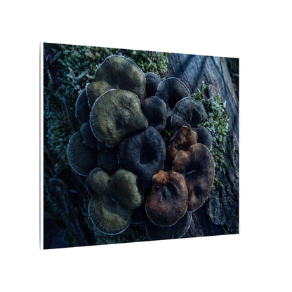 Wild Mushrooms Moody Minimal Canvas Art | Moody Dark Japandi Art