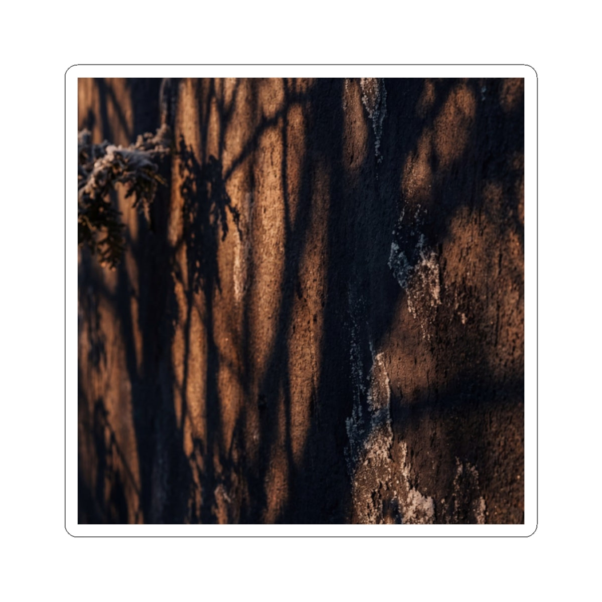 Golden Hour Shadow Play Sticker - Dark Japandi Fukinsei Art Print