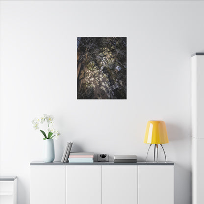Moonlit Garden Japanese Pattern Canvas Art | Elegant Japandi Art