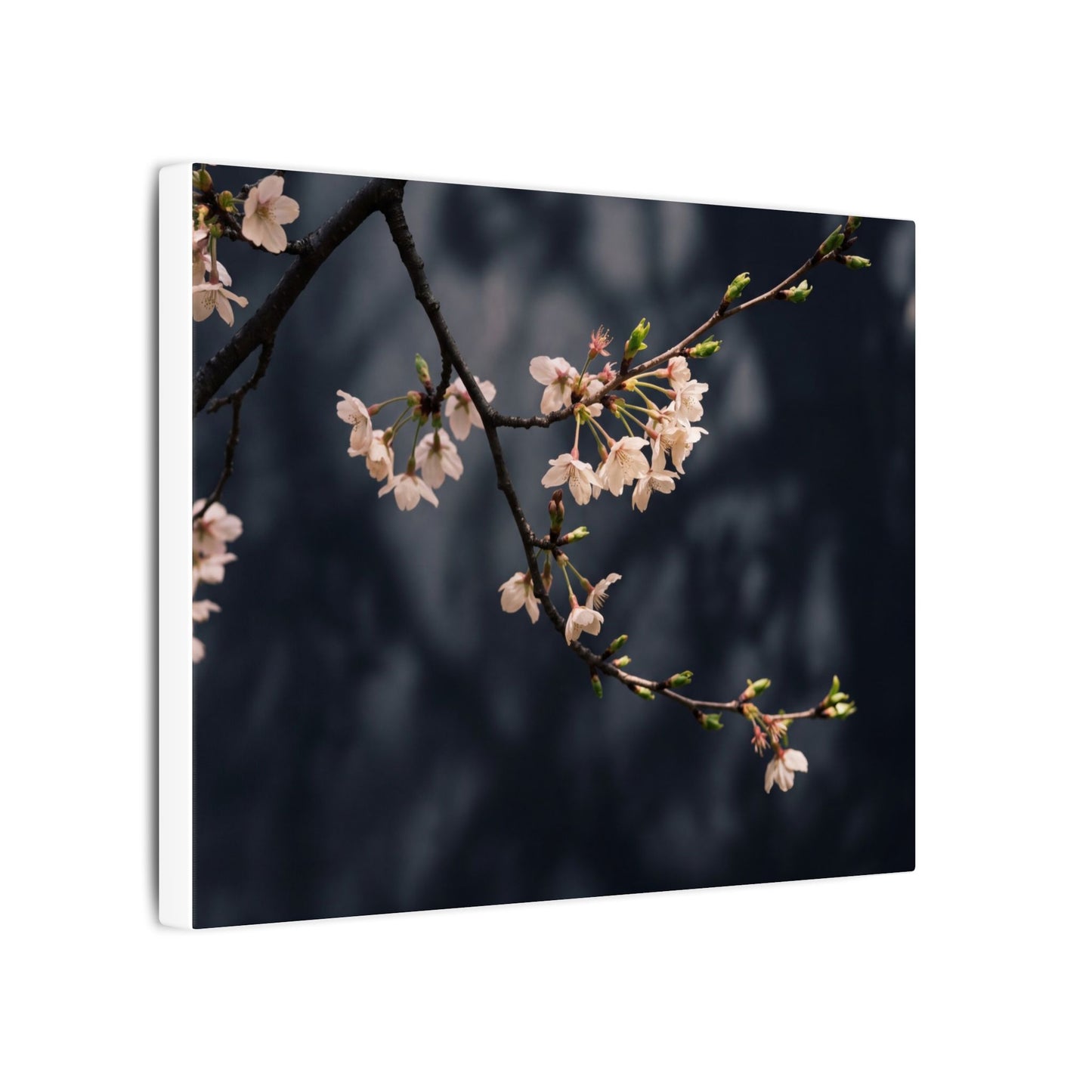 Cherry Blossom Moody Minimal Canvas Art | Bold Dark Japandi Art