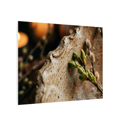 Overcast Ceramic Bowl Canvas Art - Japandi Ma