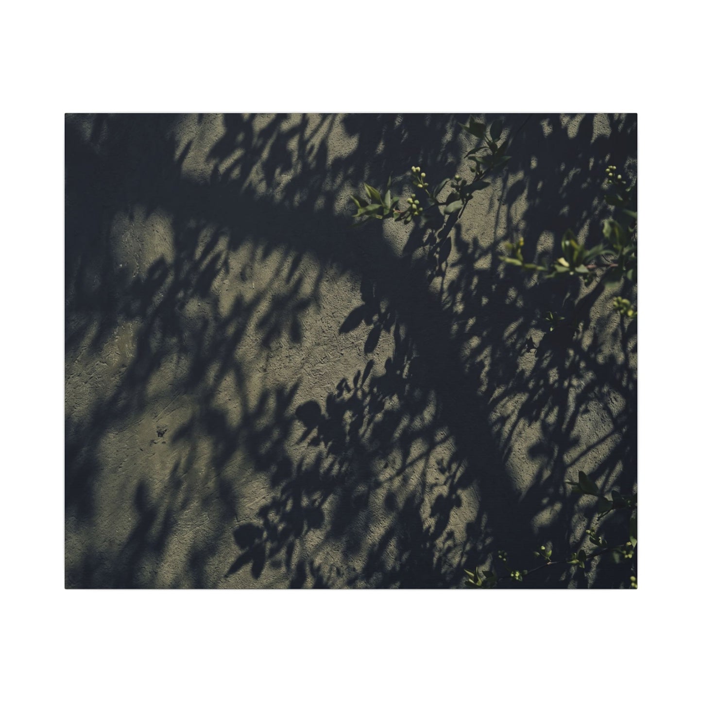 Atmospheric Shadow Play Canvas Art - Moody Minimal Dark Japandi
