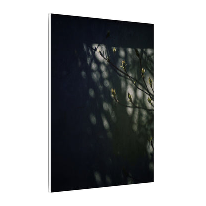 Dark Japandi Shoji Screen in Dappled | Moody Minimal Canvas Art