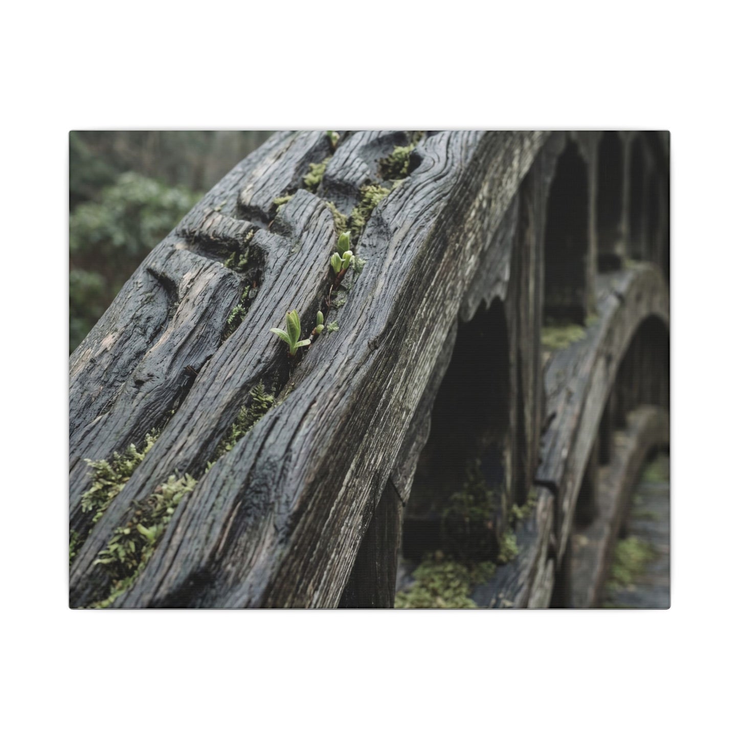 Overcast Wooden Bridge Canvas Art - Japandi Kanso
